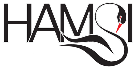 Logo of the HAMSI project